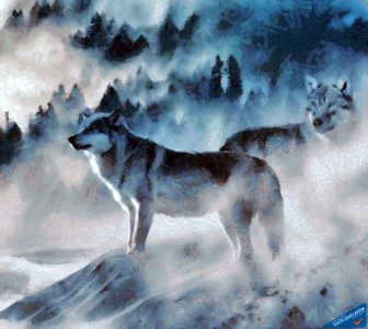 Wolf - ID 16217-202742-9293