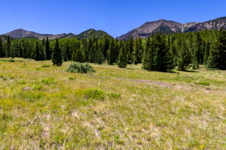 Inner Basin Trail No 29