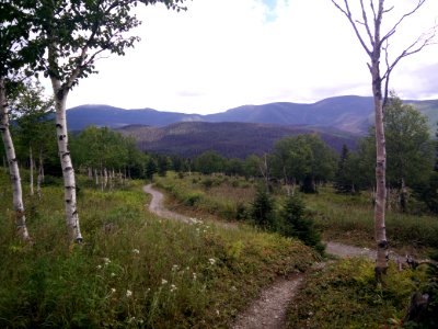 001 - Parc National De La Gaspsie  Mont Ernest Laforce
