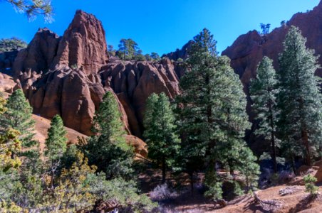 Red Mountain Trail No 159