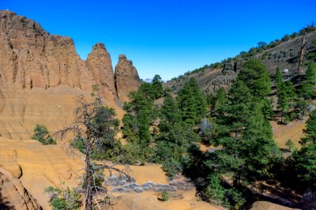 Red Mountain Trail No 159