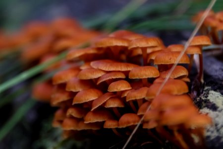 Monsoon Season Explorations