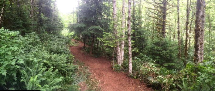 East Fork Lewis River Trail - 7-7-16