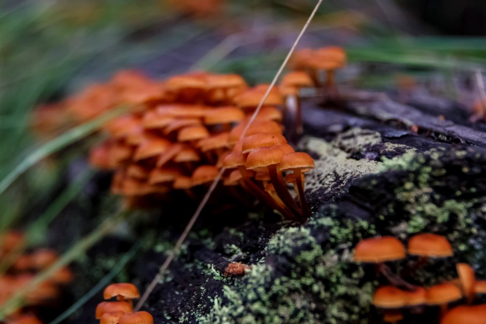 Monsoon Season Explorations