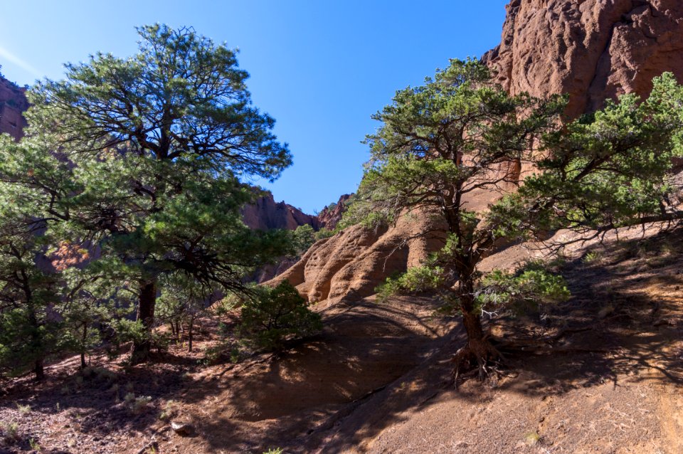 Red Mountain Trail No 159
