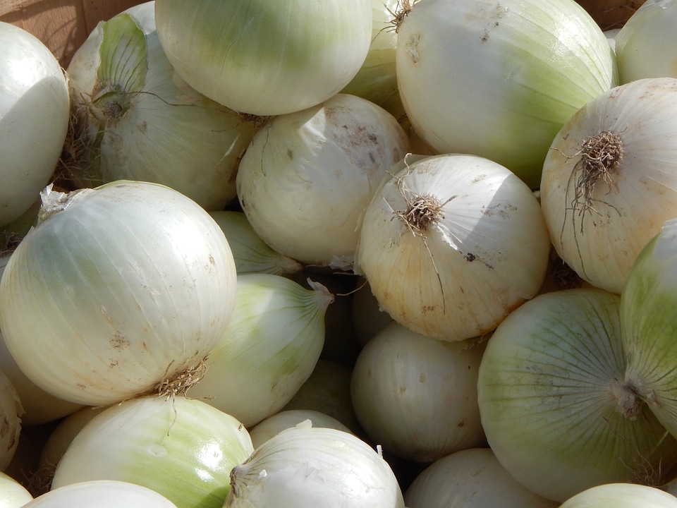 Healthy organic fresh