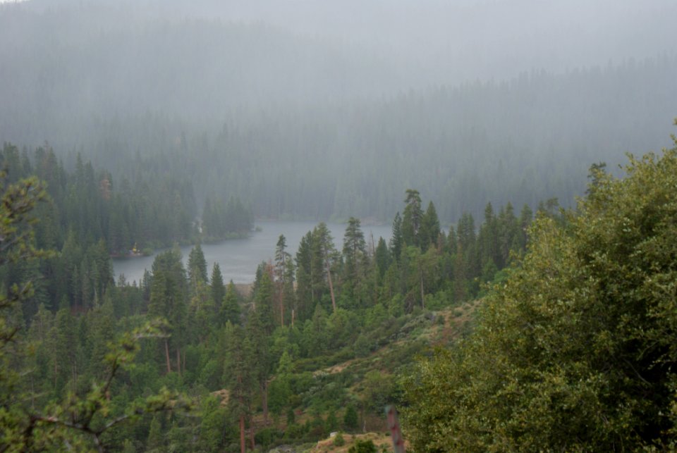Kings Canyon National Park California