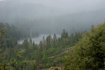 Kings Canyon National Park California