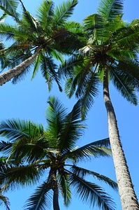 Nature beach vacation