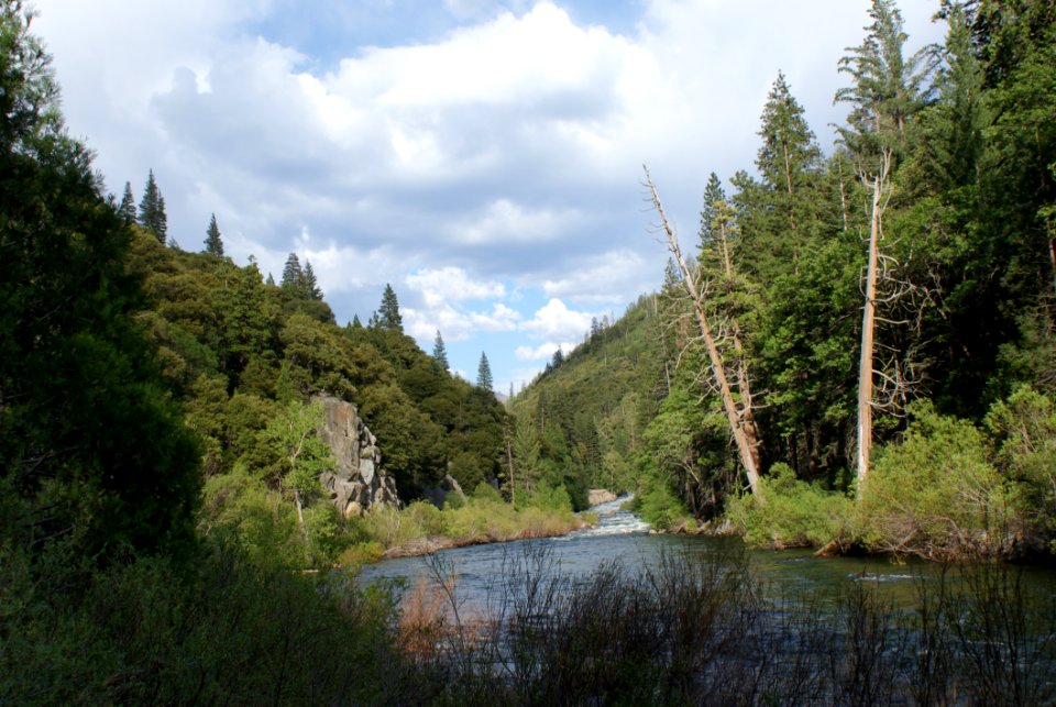 Kings Canyon National Park California