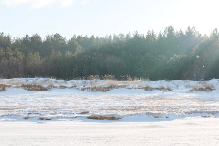 Winter Beach