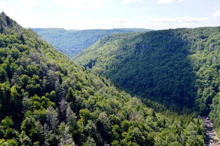 Blackwater Falls West Virginia
