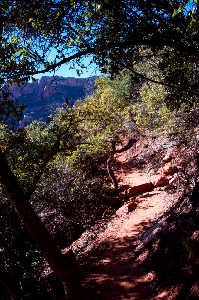 Boyton Canyon Trail No 47
