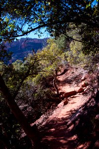 Boyton Canyon Trail No 47