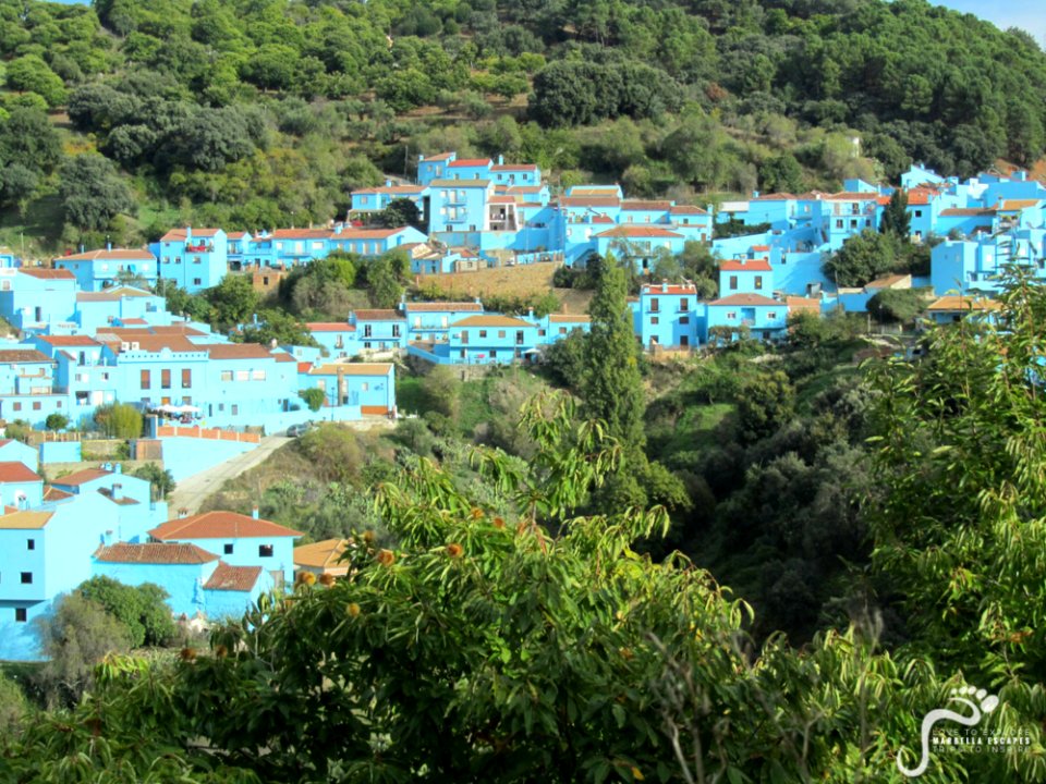 Smurfs-and-Chestnuts-in-the-Genal-Valley