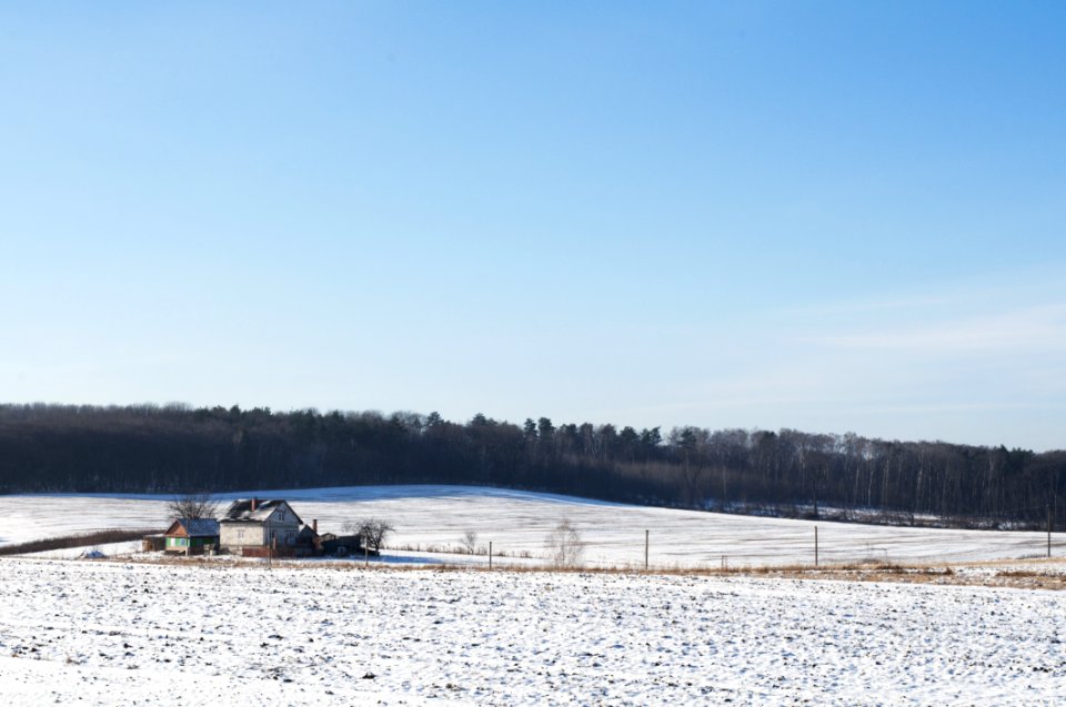 House On Winter Landscape