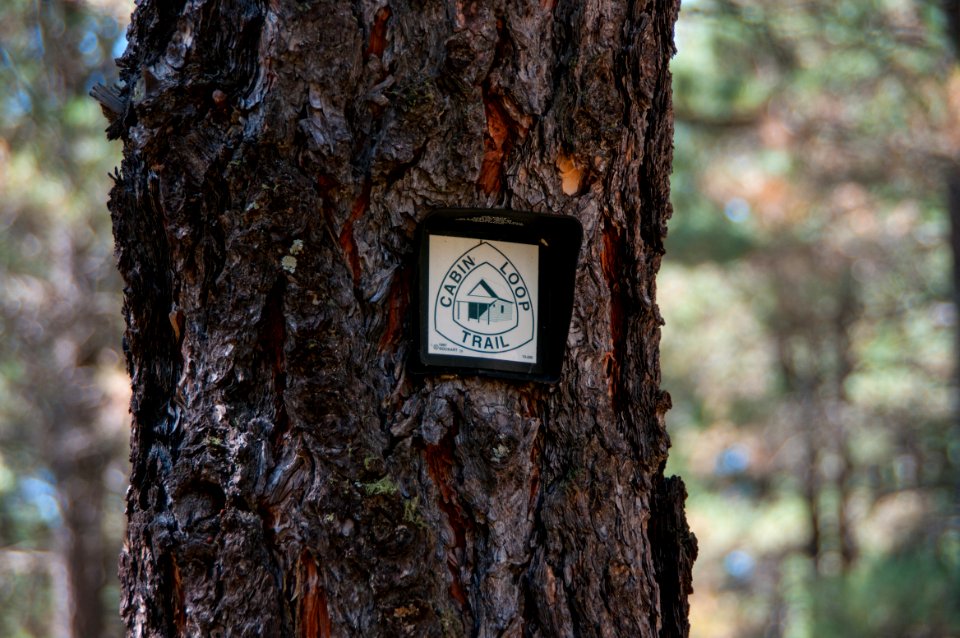 Fred Haught Trail 141