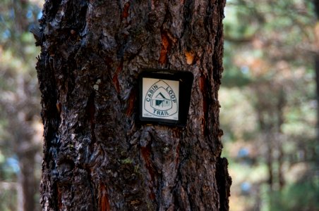 Fred Haught Trail 141