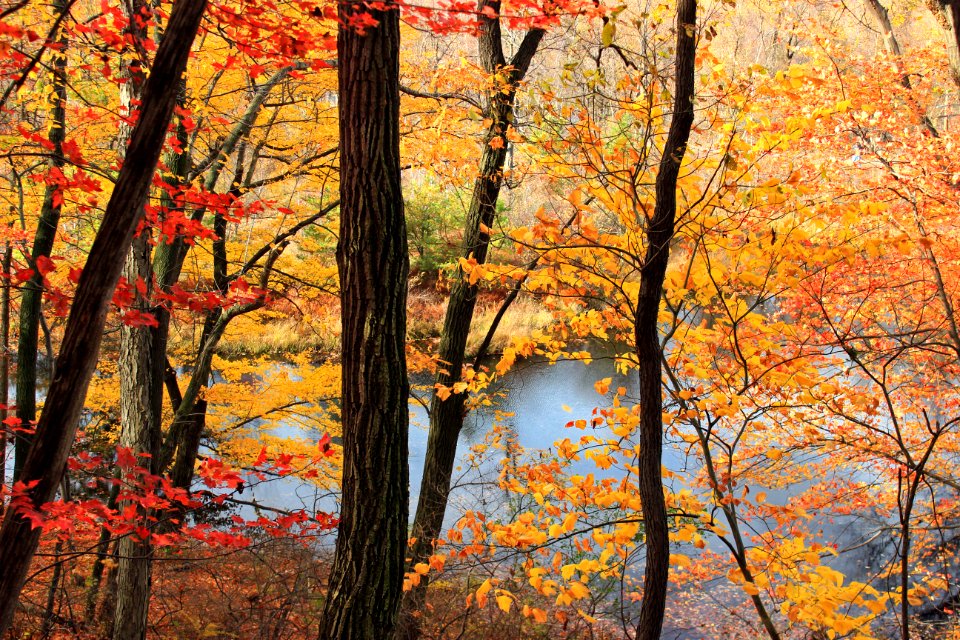 Lehigh Gap Nature Center (Revisited) (9) photo