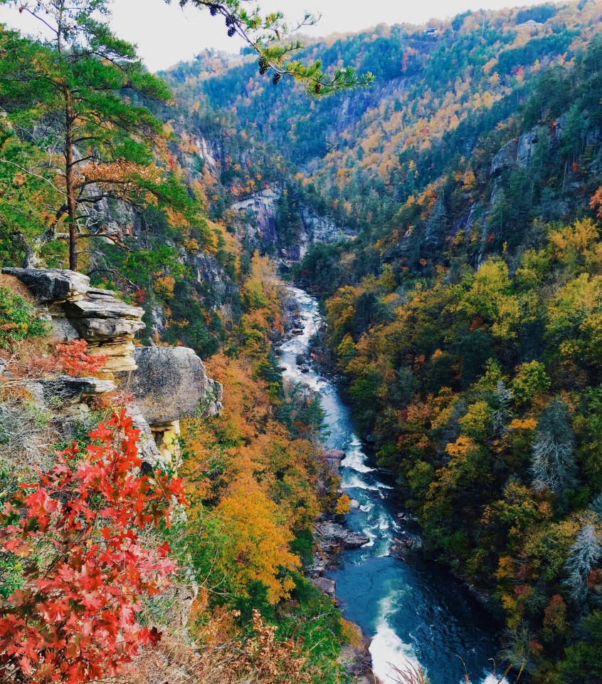 River By Forested Hills