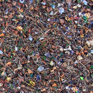 Free Seamless Texture Autumn Leaves 2