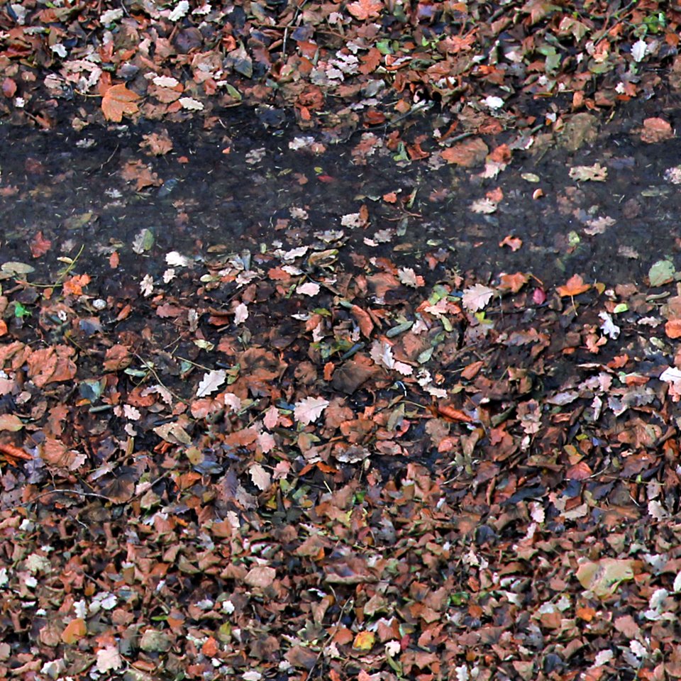 Free Seamless Texture Autumn Track