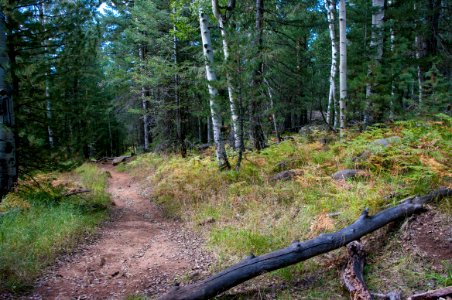 Bismarck Lake Trail