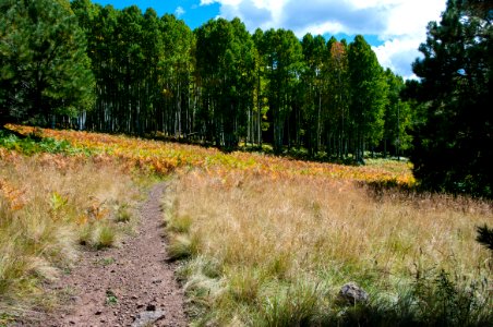 Arizona Trail Passage 34