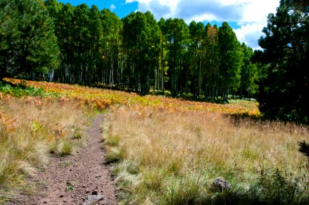 Arizona Trail Passage 34 photo