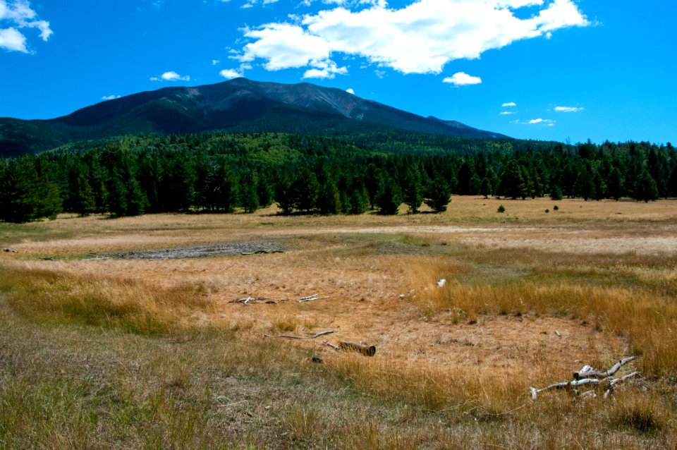 Bismarck Lake Trail