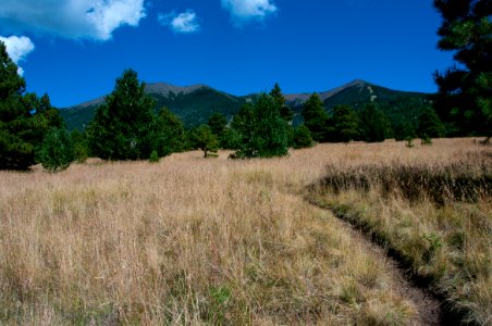 Aspen Loop Trail No 73