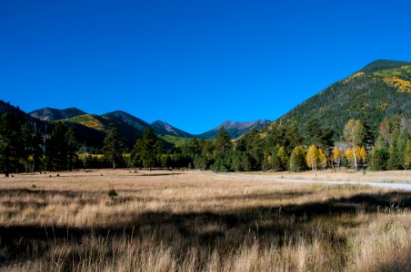 Lockett Meadow