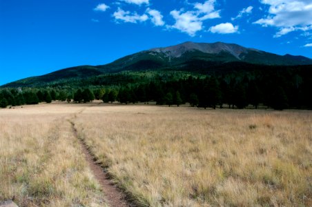 Bismarck Lake Trail