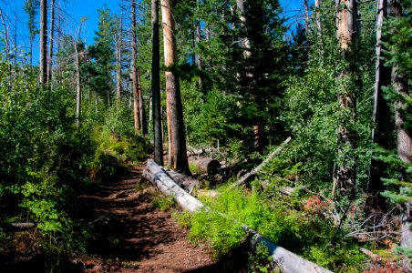 Inner Basin Trail