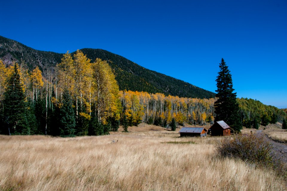 Inner Basin Trail No 29