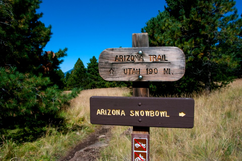 Aspen Loop  Arizona Trail