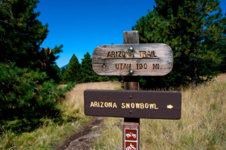 Aspen Loop Arizona Trail photo