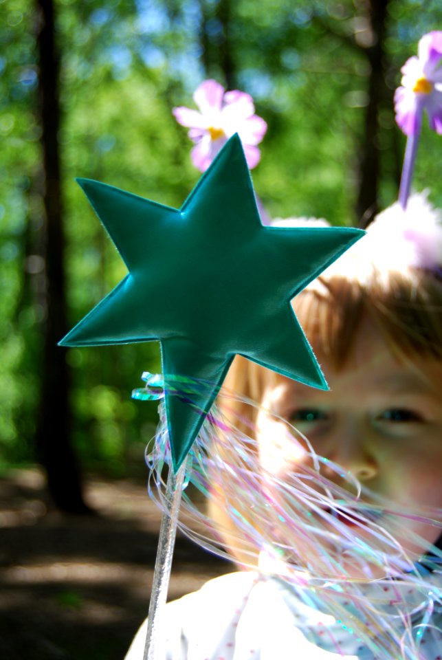 Little Fairy