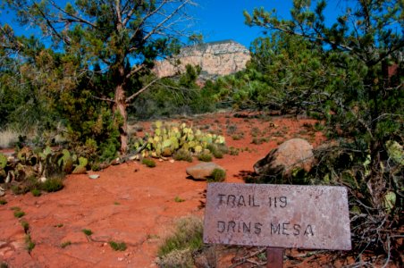 Brins Mesa No 119