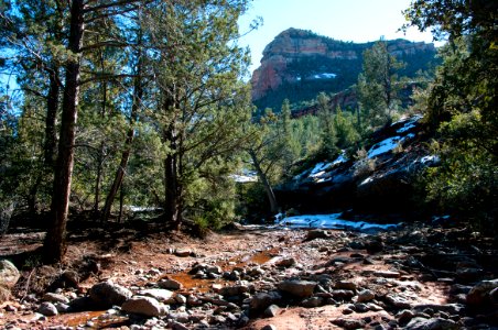 Brins Mesa No 119