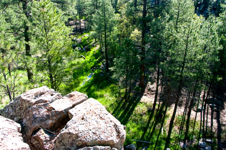Griffith Spring Trail No 189