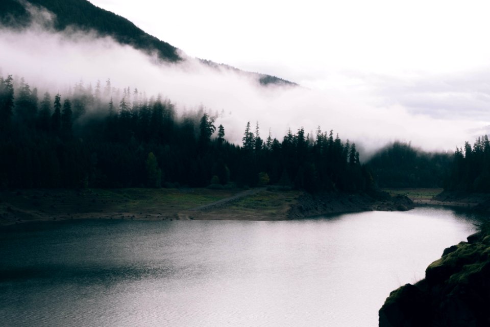 Fog Over Forest By Lake