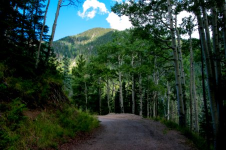 Inner Basin Trail