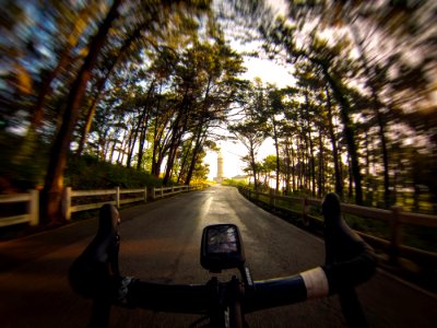 To The Lighthouse