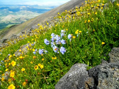 Humphreys Trail No 51