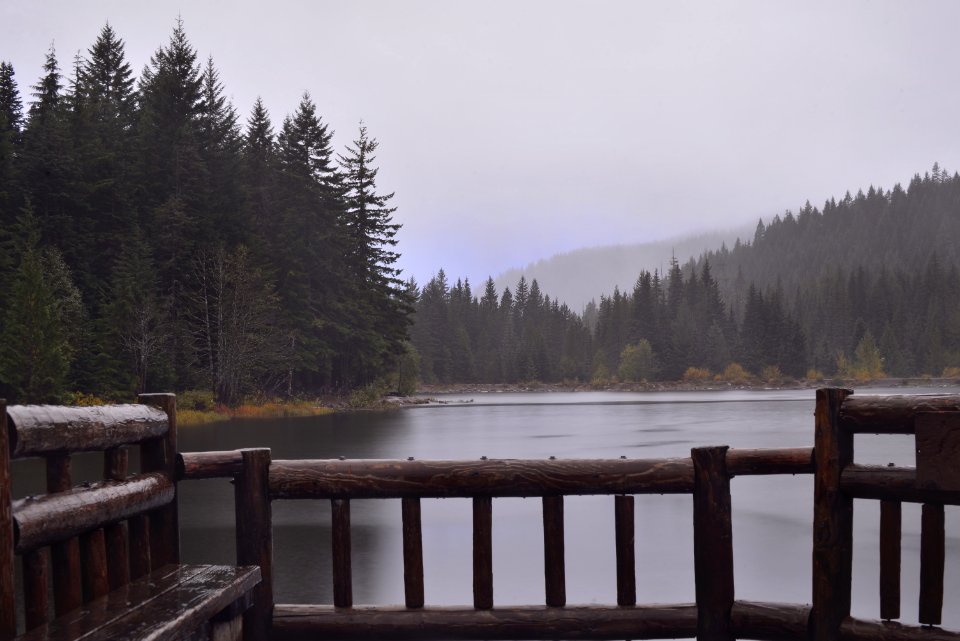 Wood Log Deck On Lake