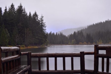 Wood Log Deck On Lake
