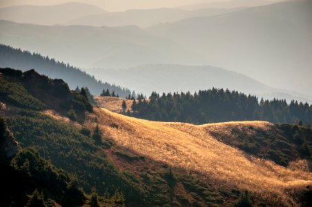 Landscape With Hills And Forests