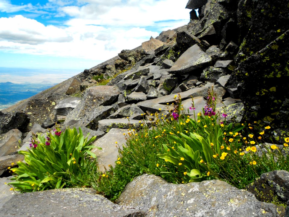Humphreys Trail No 51