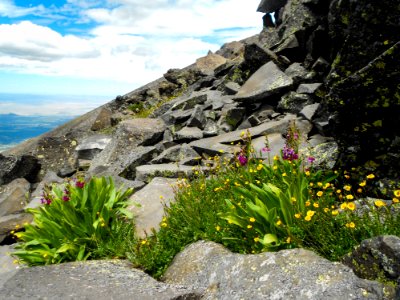 Humphreys Trail No 51